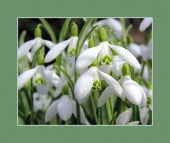 aclasta image drugs images aclasta image drugs images