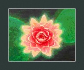 aranesp image drugs images aranesp image drugs images