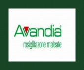 avandia image drugs images avandia image drugs images