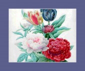 ezetrol image drugs images ezetrol image drugs images