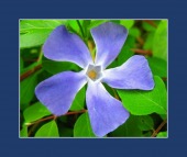 magnesium image healthtips images